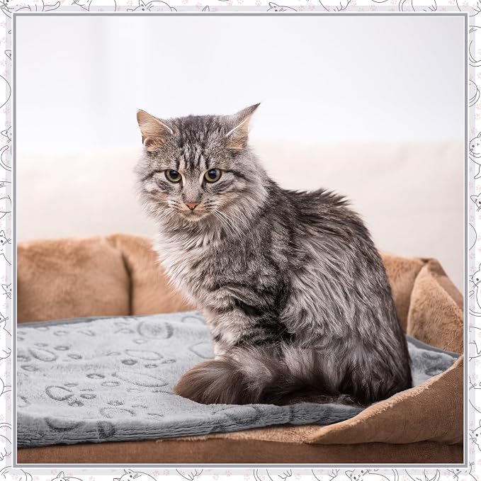 Tegeme 12 Pcs Pet Blankets 23 x 16 Inch Soft Fluffy Fleece Dog Cat Warm Paw Print Pattern Blankets Flannel Throw for Pets Dog Puppy Cat(Gray) - Image 6