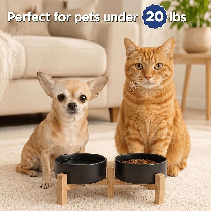 SPUNKYJUNKY Elevated Dog Bowls Ceramic, 5.1'' Dogs and Cat Food Water Bowls Raised with Non-Slip Bamboo Stand for Puppy Small Sized Breed Microwave Dishwasher Safe - 13.5 OZ,Black - Image 7