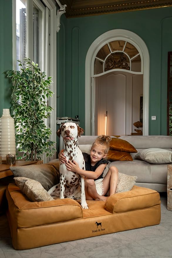 NOAH & PAW XL Dog Bed, 45x35x11 Inch, Orthopedic Large Dog Beds, Eggshell Memory Foam Infused with Cooling Gel, Inner Cover, Water Resistant, Machine Washable (Faux Leather) - Image 2