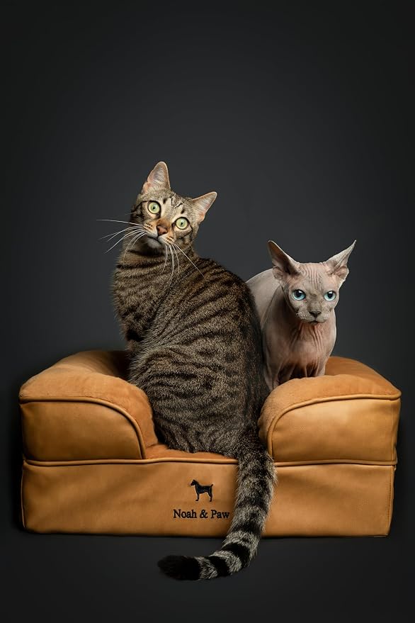 NOAH & PAW Small Dog Bed, 20x15x8 Inch, Cat Bed for Indoor Cats, Orthopedic Eggshell Memory Foam Infused with Cooling Gel, Water Resistant Inner Cover Machine Washable (Faux Leather) - Image 2