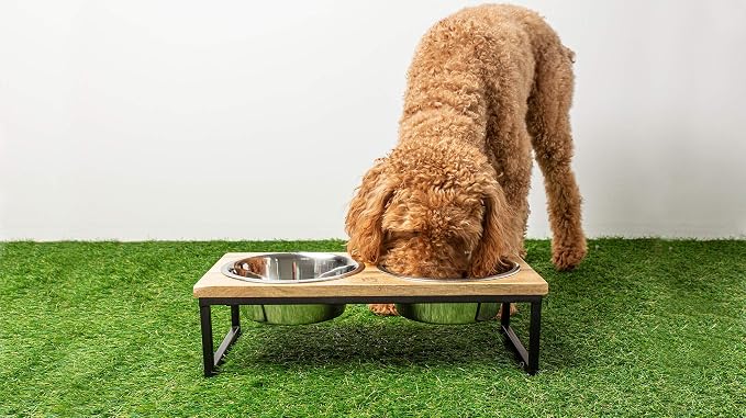Mango Wood Dog Bowl Stand - Elevated Pet Feeder with 2 Stainless Steel Bowls - Raised Food and Water Dish Set for Dogs and Cats, Available in 4 Sizes, Pet Dining Station, Medium/24oz - Image 5