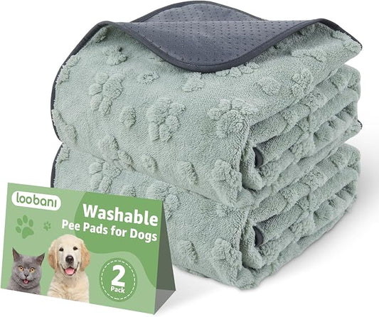 LOOBANI Washable Pee Pads for Dogs, Potty Training, 36"x24", 2-Pack | Super Absorbent Reusable Puppy Pads For Whelping, Crates, Floors, Couches, Waterproof, Leakproof, Non Slip by LOOBANI