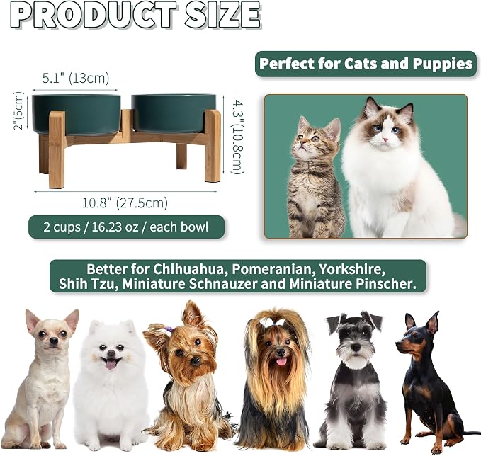 Elevated Ceramic Dog Bowl, 2 Cups Dog Food and Water Bowl Set with Stand | 5.1'' Double Dog Feeding Dishes, Non-Slip Raised Dog Feeder for Cats and Puppies, 16.23 OZ / 480 ML, White - Image 2