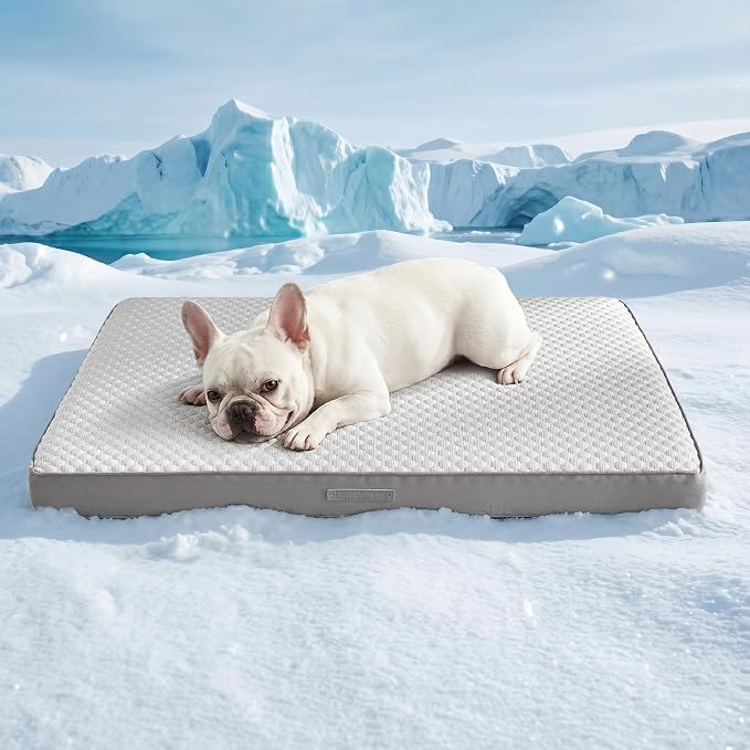 WDCOZY Orthopedic Cooling Dog Bed for Medium Dogs, Q-Max>0.4 Breathable Summer Pet Mat with High Density Memory Foam, Removable Washable Cover, Non-Slip Dog Crate Bed for Pets Up to 40 lbs，29x21 Inch by WDCOZY