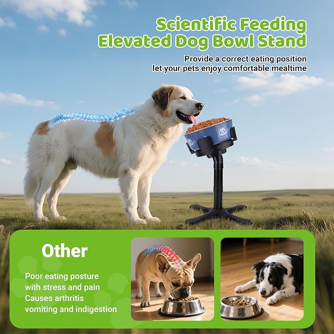 Dog Bowls Elevated Adjustable Stand, Raised Bowl with 3 Heights & Tilted Feeding Stand, Compatible with Various Bowls, for Medium & Large Breeds (1 Pack) Black - Image 3
