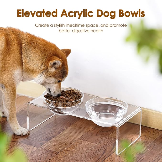 Acrylic Elevated Dog Cat Bowls Pet Feeder Double Bowl Raised Stand Comes with 2 Removable Glass Bowls and 2 Stainless Steel Bowls.Perfect for Medium Dogs, 5.5" Tall - Image 7