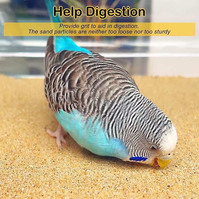 S&X Gravel Paper for Bird Cage 120-Pack 16” x 10” Bird Cage Liners Disposable | Accessories for Parakeets Cockatiels Canaries Finches Conures Easier Cleaning and Bird Health | Thick, flat gravel paper eases cage cleanup – gritty surface helps trim claw... - Image 4