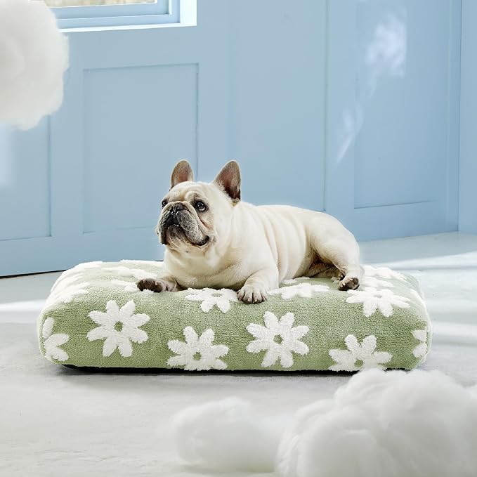 LE SURE Cute Aesthetic Bed Medium Size Dog,Jacquard Thick Pet Pillow 30x20 | Shredded Chopped Foam,Modern Plush Crate Cushion Gift for Medium Size Dog, Waterproof Washable Cover, Nonslip Bottom, Green - Image 6