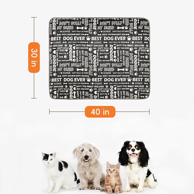 Waterproof Dog Blankets Pet Blanket, 30"x40" Cat Blanket for Indoor Cats, Soft Fluffy Sofa Car Bed Protector, Reversible Sherpa Fleece Puppy Blanket for Small Medium Dogs(Letters) - Image 2