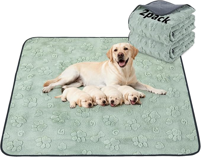 LOOBANI 2 Pack Extra Large Reusable Pee Pads for Dogs, Whelping, 54"x54" | Super Absorbent, Leakproof, Waterproof Washable Dog Mat For Potty Training, Floor, Playpen, Crates, Couch, Bed, Incontinence by LOOBANI