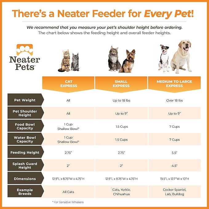 Neater Feeder Express Mess Proof Cat Bowls Elevated, No Spill Feeding Station, Stainless Steel Dishes for Food and Water, Raised Bowls for Indoor Cats, No Fatigue Whisker Friendly Dish, Grey - Image 7