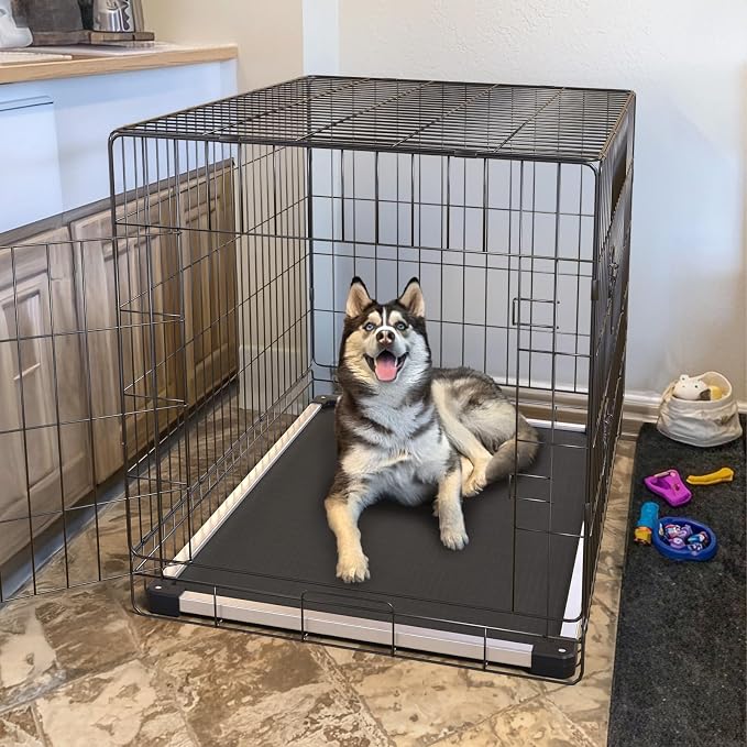 FXW TitanNest Chew-Proof Elevated Dog Bed, Raised Cot for Indoor/Outdoor/Camping Use, Durable & Washable Padded Pet Bed for Medium Dogs, 41.0" L x 27.0" W x 5.0" H, Black - Image 3