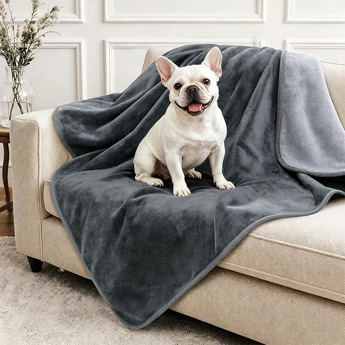 LOOBANI Waterproof Dog Blanket for Small Dogs, Pet Blanket 30" x 40", Grey | Double Side Liquid-Proof, Puppy Blanket for Dog Cat Bed, Crate, Playpen, Reversible Soft Flannel Couch Cover Throw by LOOBANI