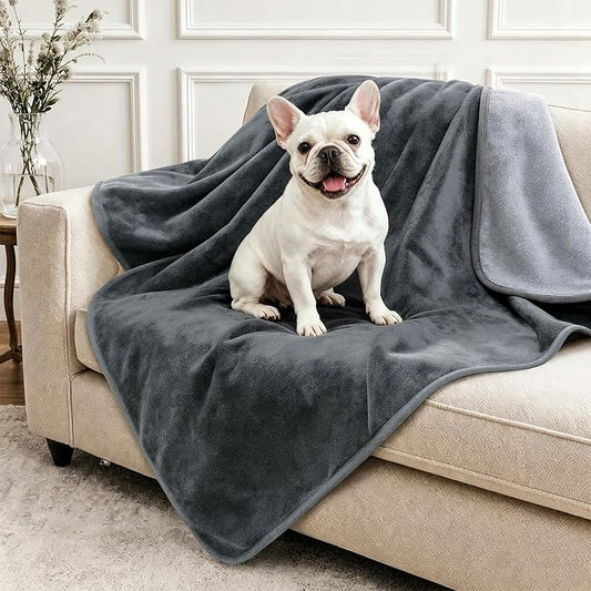 LOOBANI Waterproof Dog Blanket for Small Dogs, Pet Blanket 30" x 40", Grey | Double Side Liquid-Proof, Puppy Blanket for Dog Cat Bed, Crate, Playpen, Reversible Soft Flannel Couch Cover Throw by LOOBANI