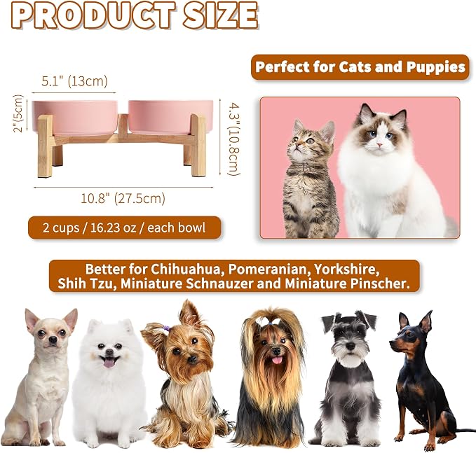 Elevated Ceramic Dog Bowl, 2 Cups Dog Food and Water Bowl Set with Stand | 5.1'' Double Dog Feeding Dishes, Non-Slip Raised Dog Feeder for Cats and Puppies, 16.23 OZ / 480 ML, White - Image 2