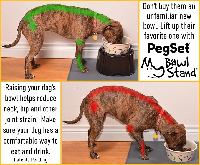 My Bowl Stand | 5” Elevated Stand for Any Dog Bowl up to 7.5” Width, Made in USA, Lift Your Pet’s Food or Water, Reduces Joint Strain, Sturdy + Washable + Stackable, Adjustable Raised Feeder - Image 3