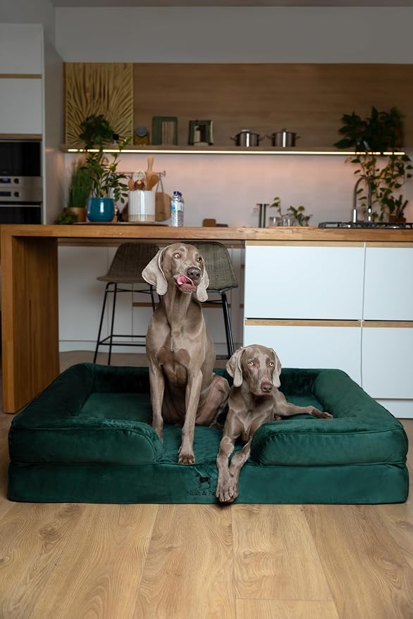 NOAH & PAW Giant Dog Bed XXL, 55x45x11 Inch, Orthopedic Dog Beds, Eggshell Memory Foam Infused with Cooling Gel, Inner Cover, Water Resistant, Machine Washable (Velvet Sofa Collection) - Image 7