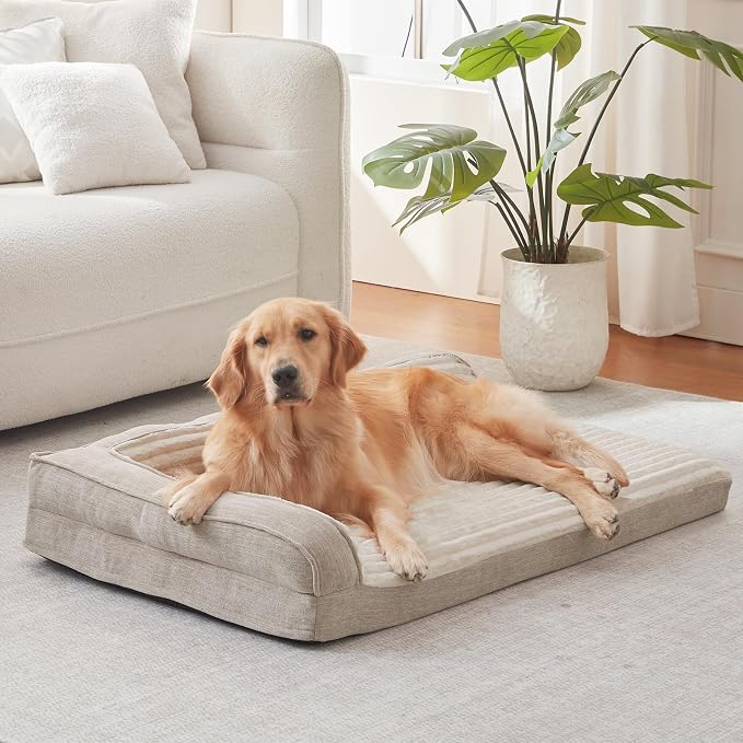 WINDRACING Orthopedic Dog Beds for Large Dogs, Waterproof Egg Foam Dog Sofa Bed with L Bolster Sides, Washable Large Pet Bed with Removable Cover & Non-Slip Bottom, 36 x 27 inch, Beige by WINDRACING