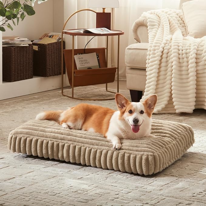 Dog Bed Medium Size Dog, Flat Pet Beds with Removable Washable Cover, Pet Mat Cute Crate Bed Thick Shredded Chopped Crate Foam & Anti Slip Bottom for Indoor, Beige by FURTIME