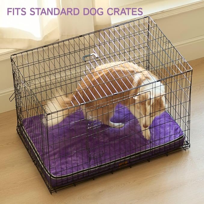 LIORCE Memory Foam XL Dog Bed - 4” Thick Orthopedic Beds for Extra Large Dogs - Waterproof Dog Bed with Removable Washable Cover & Wrap-Around Zipper - Ultimate Comfort and Easy Maintenance, Purple - Image 5