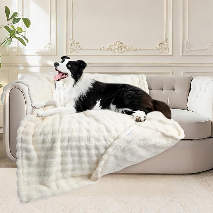 Dog Blankets Washable Pet Blanket - Fluffy Fuzzy Cat Puppy Blanket with Premium 300GSM 3D Fleece Bubble for Pet Kitten Doggy, Cream, 40x60IN by ZAKAPAWS