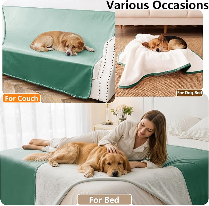 Waterproof Blanket - Reversible Dog Throw as Furniture Protector | Soft Velvet & Flannel, TPU Leak-Proof Liner, Machine Washable, Fits Couch and Bed, 82" x 108", Green/Cream - Image 5
