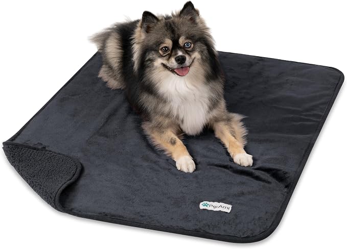 PetAmi Premium Waterproof Dog Blanket for Small Medium Dogs, Reversible Sherpa & Flannel Fleece, Leakproof Pet Throw for Couch Protection, Soft Plush Furniture Protector for Cats, Washable, 29x40 Grey by PetAmi