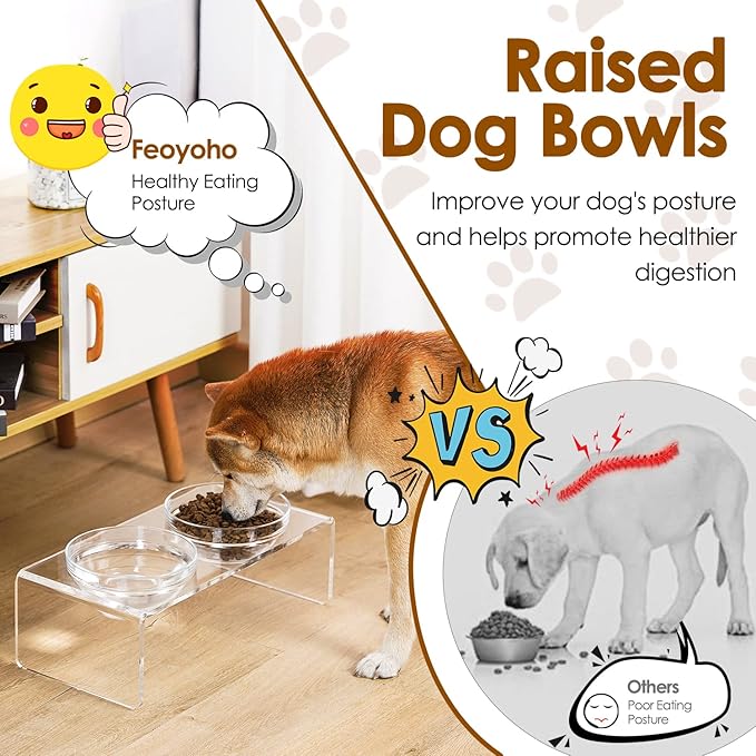 Acrylic Elevated Dog Cat Bowls Pet Feeder Double Bowl Raised Stand Comes with 2 Removable Glass Bowls and 2 Stainless Steel Bowls.Perfect for Medium Dogs, 5.5" Tall - Image 4