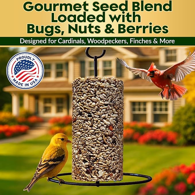 Bugs, Nuts & Berries Bird Seed Cylinders with Hole - USA Made (6" x 7.75") | Mealworms, Nuts & Berries Blend, Protein Rich, Cylinder Bird Seed, No Filler, Attract Wild Birds, Natural Ingredients 3.75lbs - Image 4