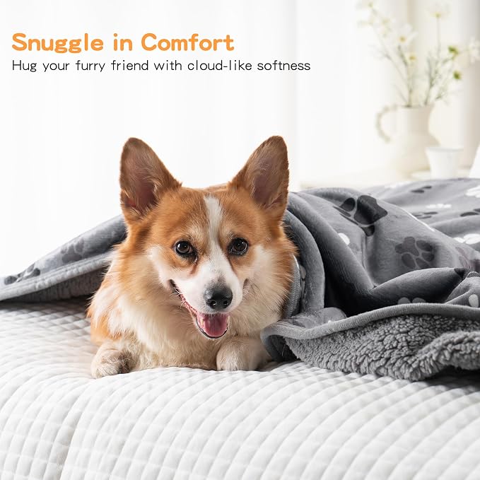 Waterproof Dog Blankets Pet Blanket, 30"x40" Cat Blanket for Indoor Cats, Soft Fluffy Sofa Car Bed Protector, Reversible Sherpa Fleece Puppy Blanket for Small Medium Dogs(Dark Grey-Paws) - Image 5