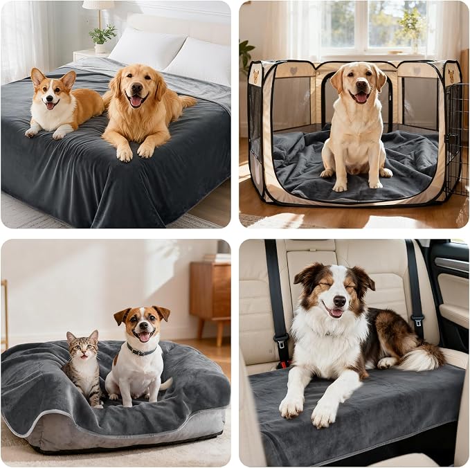 LOOBANI Waterproof Dog Blanket for Small Dogs, Pet Blanket 30" x 40", Grey | Double Side Liquid-Proof, Puppy Blanket for Dog Cat Bed, Crate, Playpen, Reversible Soft Flannel Couch Cover Throw - Image 5