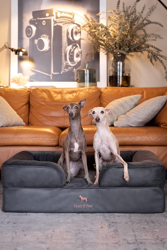 NOAH & PAW Large Dog Bed, 35x25x11 Inch, Orthopedic Dog Beds, Eggshell Memory Foam Infused with Cooling Gel, Inner Cover, Water Resistant, Machine Washable (Faux Leather) - Image 2