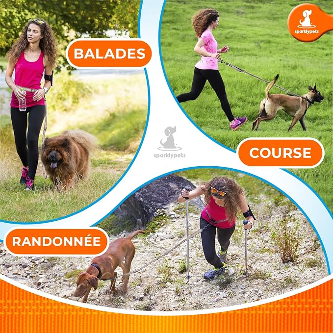 SparklyPets - Hands Free Dog Leash with Reflective Stitches - Waist Leash for Medium & Large Dogs Walking, Hiking, Training, Jogging, Canicross, Running - Image 4