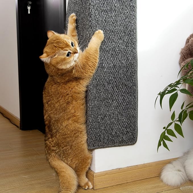 SHENGOCASE Thickened Cat Wall Corner Climbing Carpet, Cat Wall Furniture, Wall Corner Scratcher, Scratching Post (Gray), Grey - Image 2