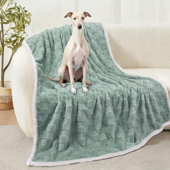 Luciphia Waterproof Dog Blanket, Reversible Fleece & Sherpa, Couch Cover | Soft plush fluffy, washable, puppy, cat, dog bed, crate, car seat, sofa, throw, furniture protector,Green,Large (65" x 57") by luciphia