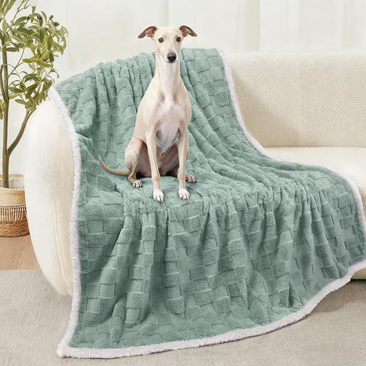 Luciphia Waterproof Dog Blanket, Reversible Fleece & Sherpa, Couch Cover | Soft plush fluffy, washable, puppy, cat, dog bed, crate, car seat, sofa, throw, furniture protector,Green,Large (65" x 57") by luciphia