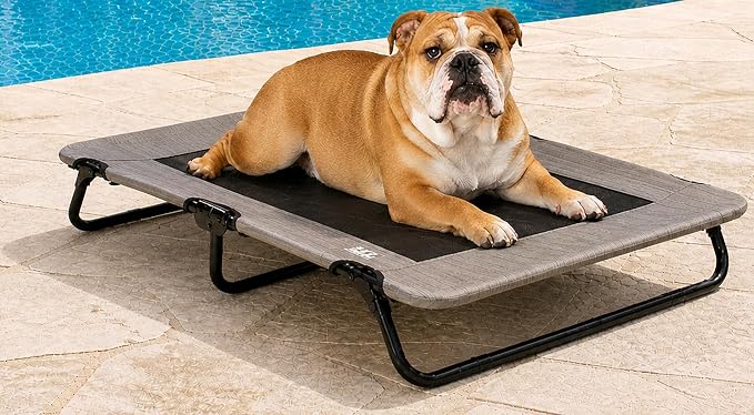 Pet Gear Lifestyle Pet Cot Elevated Bed, 40 Inch, Wheat | No Assembly Required, Premium Tear Resistant Cooling Mesh, Indoor & Outdoor, Lightweight & Portable by PetGear