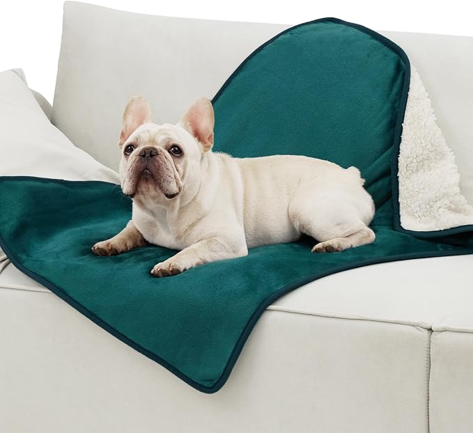 Bedsure Waterproof Dog Blankets for Medium Dogs Washable Soft Warm, 30"X40" | Plush Sherpa Fleece Cat Puppy Blanket for Couch Protector, Reversible Cozy Calming Throw for Pet Indoor, Green by Unknown