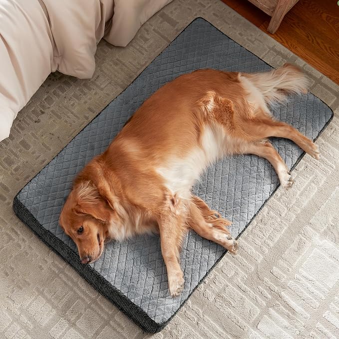 JOEJOY Orthopedic Dog Bed for Large Dogs, Washable Dog Crate Bed Large Sized with Removable Cover, Egg Memory Foam Big Pet Beds, Light Grey, 35"x22" - Image 9