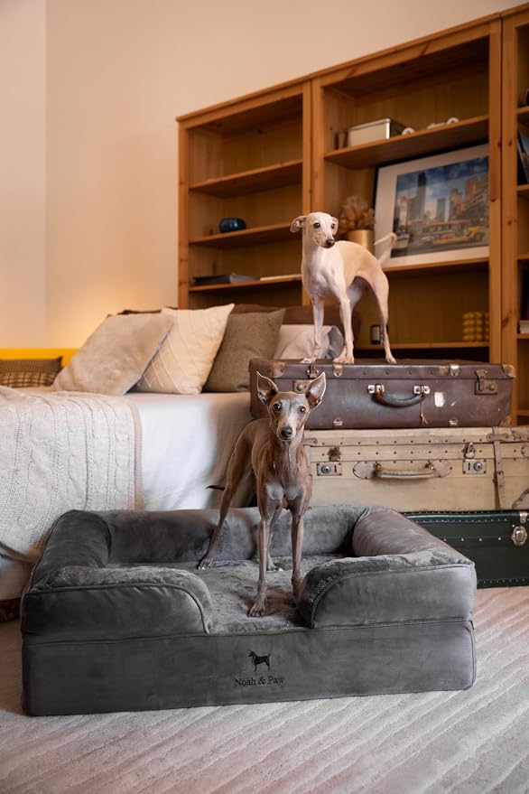 NOAH & PAW Large Dog Bed, 35x25x11 Inch, Orthopedic Dog Beds, Eggshell Memory Foam Infused with Cooling Gel, Inner Cover, Water Resistant, Machine Washable (Velvet Sofa Collection) - Image 3