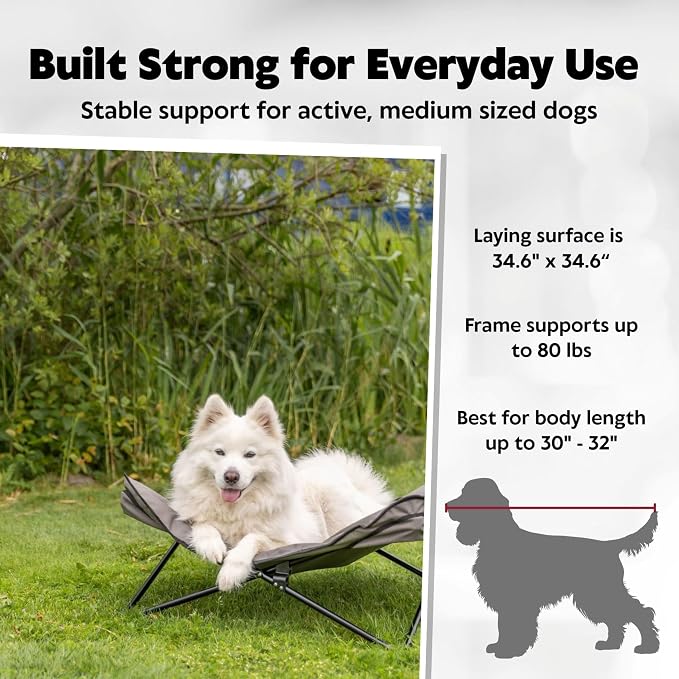TRIXIE Camping Cot for Medium Dogs, Elevated Pet Travel Bed 34.6" x 34.6", Support Breeds up to 80 lbs, Portable Steel Frame Lounger with Cushioned Removable Topper, Foldable Design | Elevated Pet Travel Bed, Portable Steel Frame Lounger, Removable Top... - Image 2