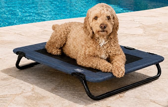 Pet Gear Lifestyle Pet Cot Elevated Bed, 30 Inch, Caribbean Ocean | No Assembly Required, Premium Tear Resistant Cooling Mesh, Indoor & Outdoor, Lightweight & Portable by PetGear