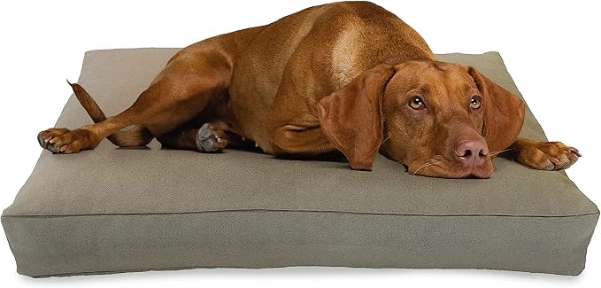 XX-Small - 18 x 12 x 4 - Natural Premium Organic Hemp Dog Bed - CertiPUR Fill - Removeable Cover by BeanProducts