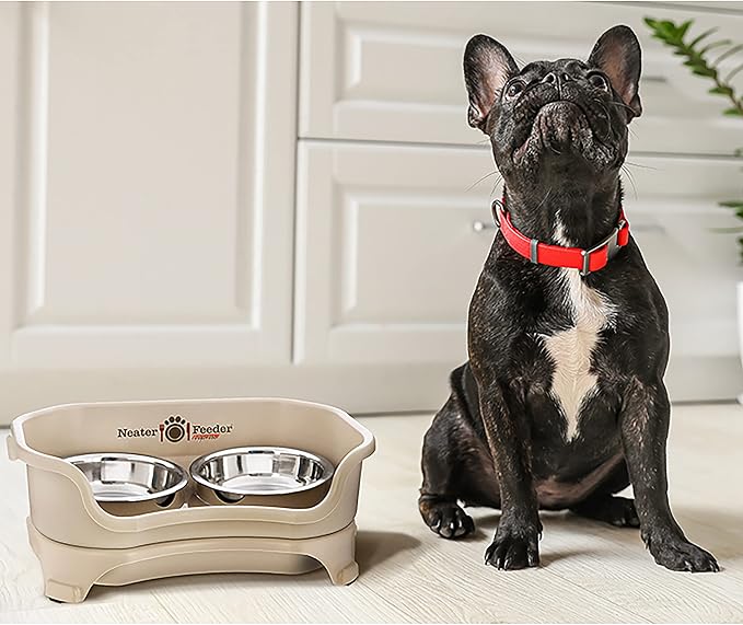 Neater Feeder Express Mess Proof Dog Bowls Elevated for Small Breeds Under 15 Lb, Made in USA, No Spill Raised Dog Food Bowl Stand, Stainless Steel Food and Water Bowl Set, Feeding Station, Almond - Image 9
