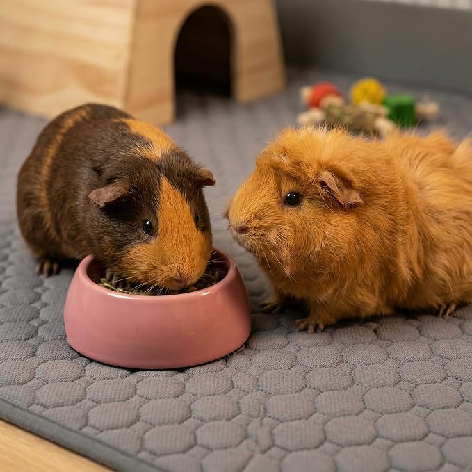 Guinea Pig Cage Liners, 59x31in 2 Pack Washable Guinea Pig Bedding, Waterproof Reusable & Anti Slip, Super Absorbent Guinea Pig Pee Pad for Small Animal, Rabbit, Bunny, Fit for C&C Cage, Brown - Image 5
