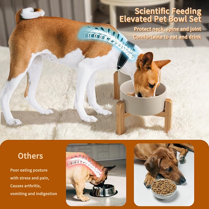 Elevated Ceramic Dog Bowl, 3.6 Cups Dog Food and Water Bowl Set with Stand | 6.1'' Double Dog Feeding Dishes, Non-Slip Raised Dog Feeder for Small and Medium Breeds, 28.74 OZ / 850 ML, White - Image 4