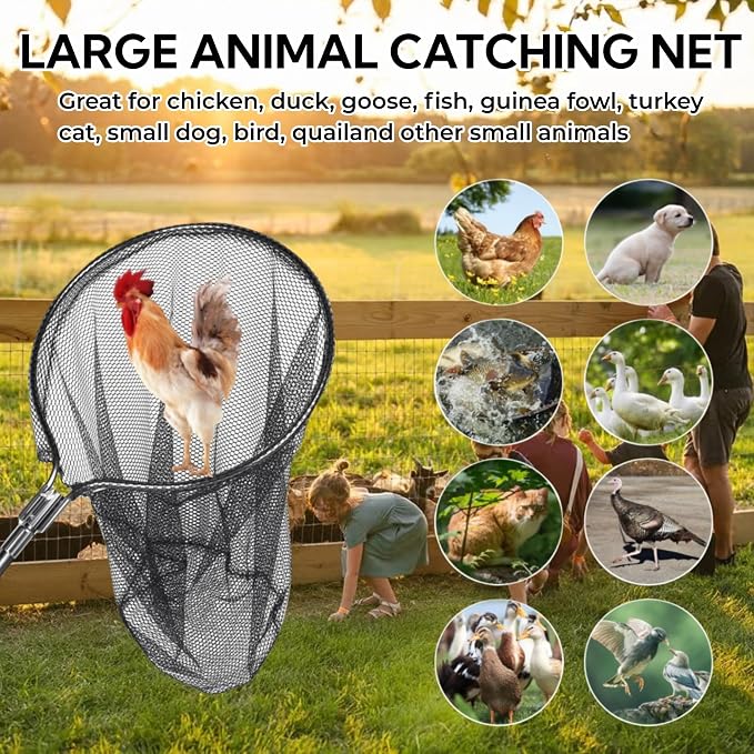 Catch Net, Small Animal Catcher Net for Chicken, Duck, Goose, Fish, Cat, Bird, Raccoon, Dog and Others(43"- 78" Handle with 20" Net Opening) - Image 2