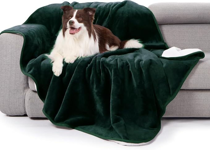 gogobunny Waterproof Bed Blanket, Reversible Sherpa Fleece Throw Blanket for Dog Puppy Cat, Furniture Cover Protects Bed Couch Sofa from Liquid Pee and Pet Fur (Forest Green, 60x80 inches) by gogobunny