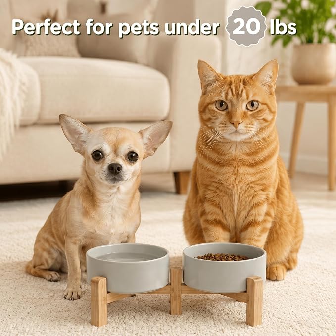 SPUNKYJUNKY Elevated Dog Bowls Ceramic, 5.1'' Dogs and Cat Food Water Bowls Raised with Non-Slip Bamboo Stand for Puppy Small Sized Breed Microwave Dishwasher Safe - 13.5 OZ,Grey - Image 7