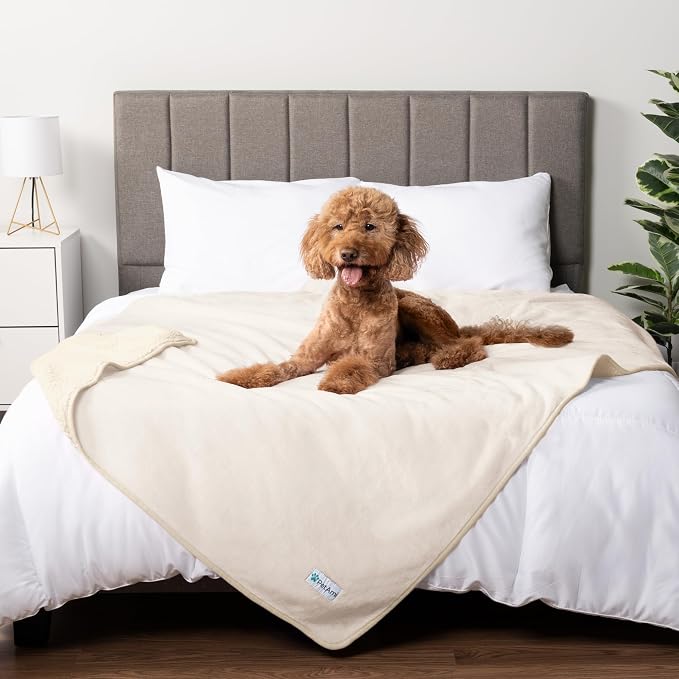 PETAMI Sherpa Fleece Waterproof CAT and Dog Blanket, Beige, Queen by PetAmi
